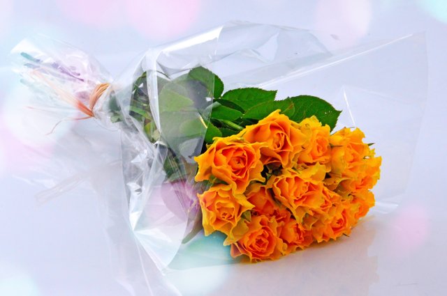white-bouquet-background-yellow-cellophane-orange-1449591-pxhere.com.jpg