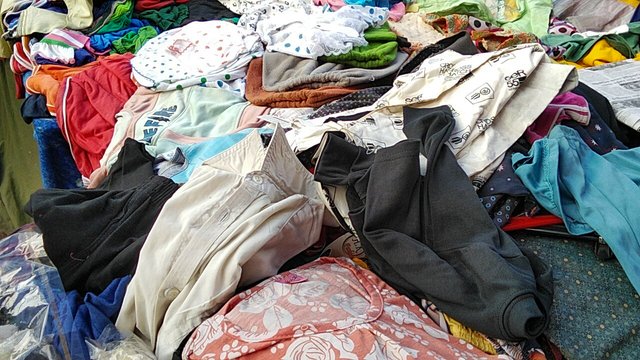 IMG20251003164553_01.jpg