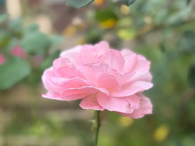 IMG_0476.jpeg