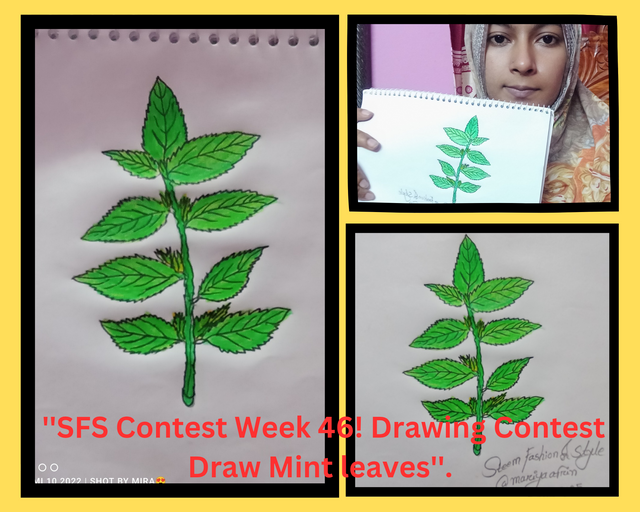 ''SFS Contest Week 46! Drawing Contest Draw Mint leaves''._20250625_215305_0000.png