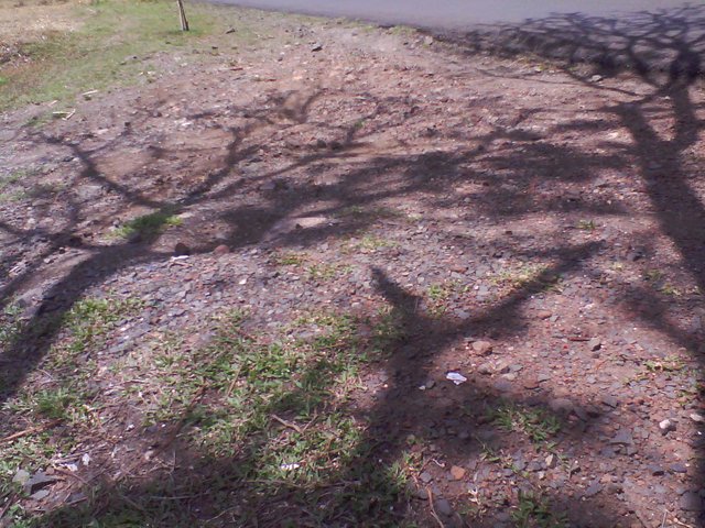 IMG_20130402_124711_0.jpg