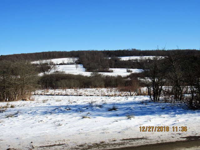 IMG_0123.JPG