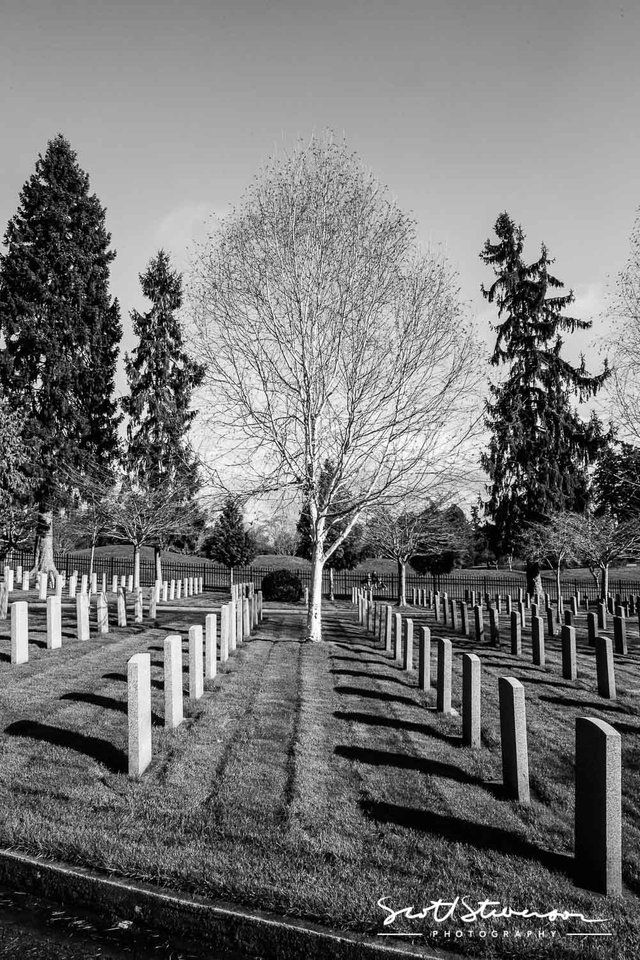 Navy Cemetery-2.jpg