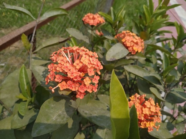 IMG_20230428_122609.jpg