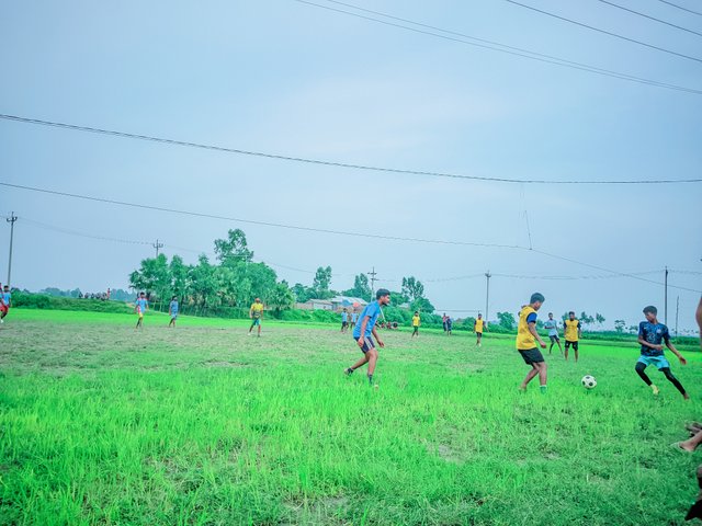IMG_20250727_130302.jpg