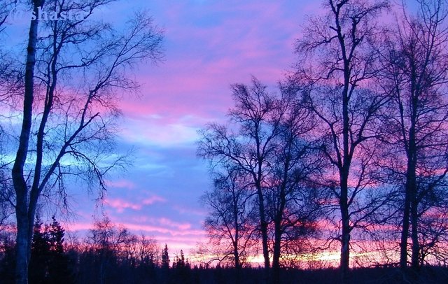 shasta2018nov21st47sunset1io.jpg