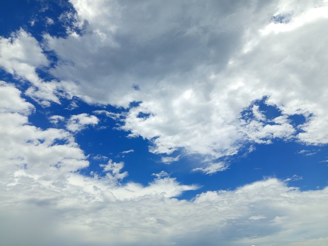 1000010824.jpg