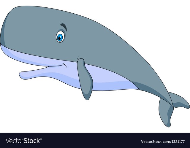cute-sperm-whale-cartoon-vector-1321177.jpg