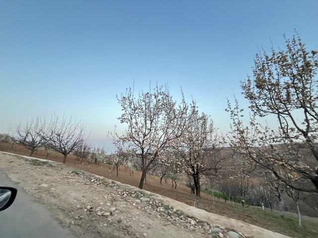 IMG_2982.jpeg