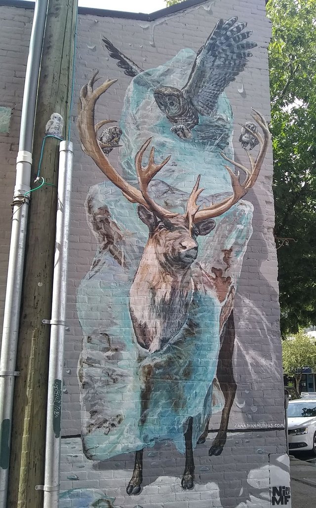 Nelson - Moose Mural.jpg