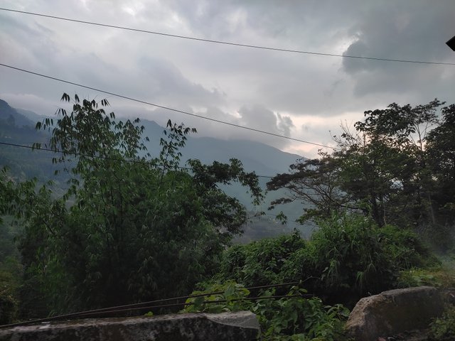 IMG_20250612_152935.jpg