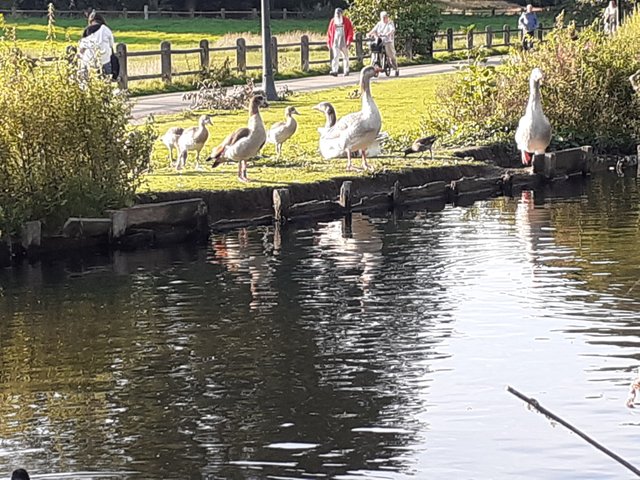 20250928_172229.jpg