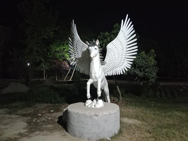 1000028791.jpg