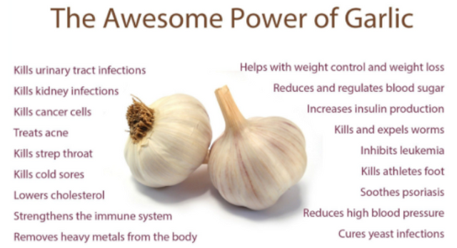 infographic claims Garlic kills, cures, and inhibits.png