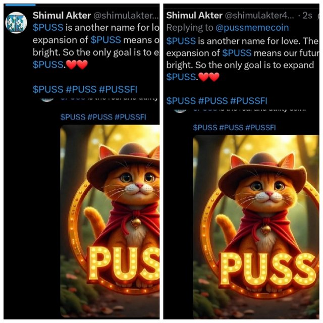 photocollage_2025517154217532.jpg