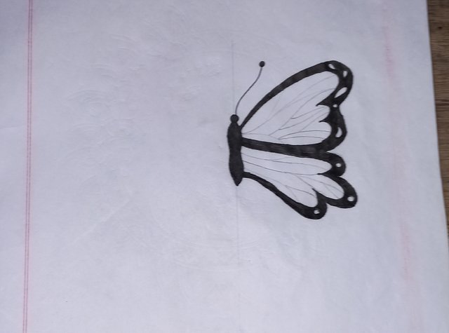 20250718_125011.jpg