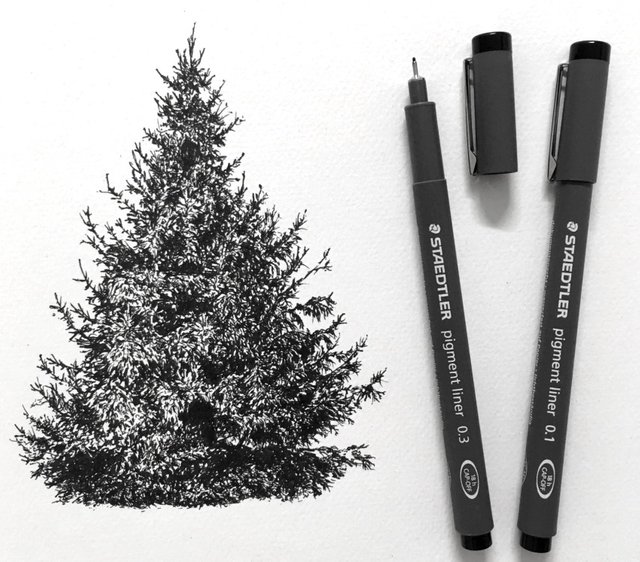 pine-tree-pen-drawing.jpg
