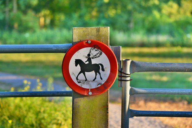 horses-prohibited-3538599_1280.jpg