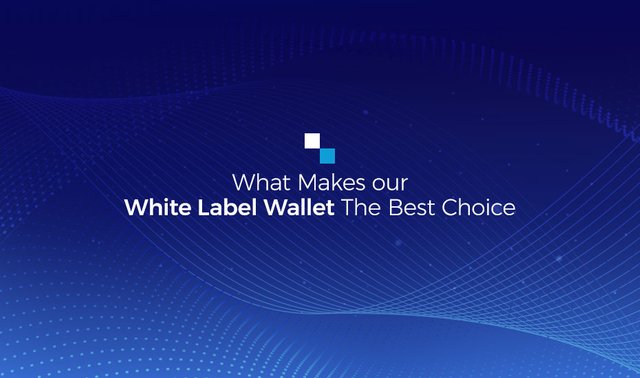 What-makes-our-white-label-multi-cryptocurrency-wallet-the-best-choice.jpg