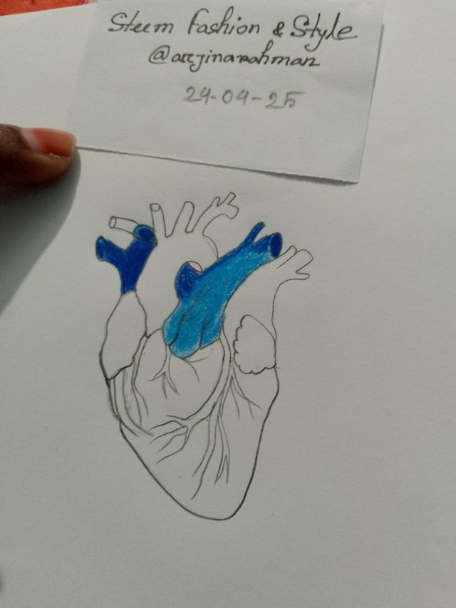 1000053104.jpg