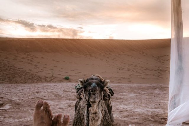 Luxury-Morocco-tour-desert-camp-760x508.jpg