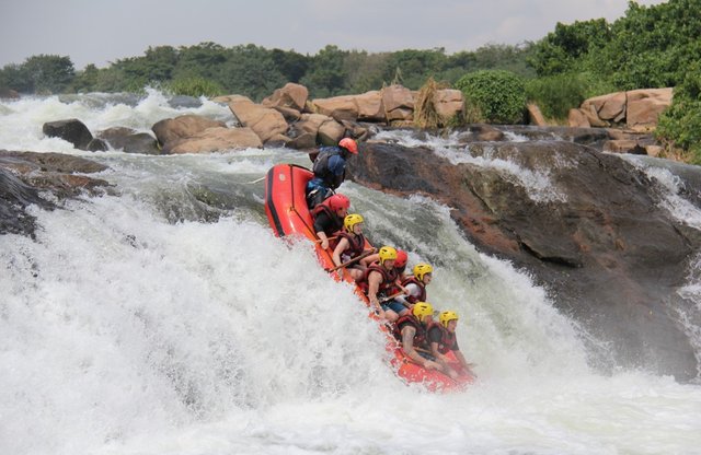 Top 10 Must-Do Uganda Safari Experiences.jpg