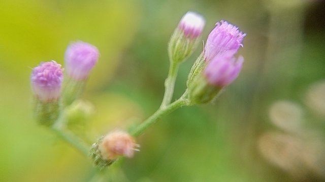 IMG20250720160459.jpg