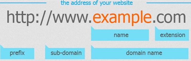 domain name.jpg