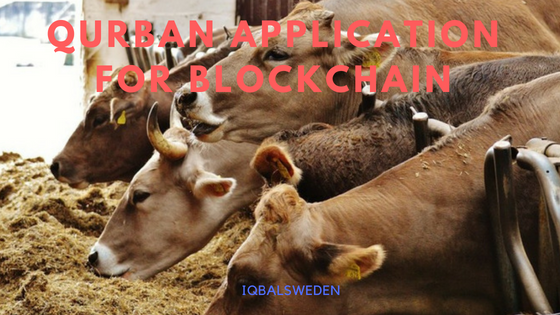 Qurban application for blockchain.png