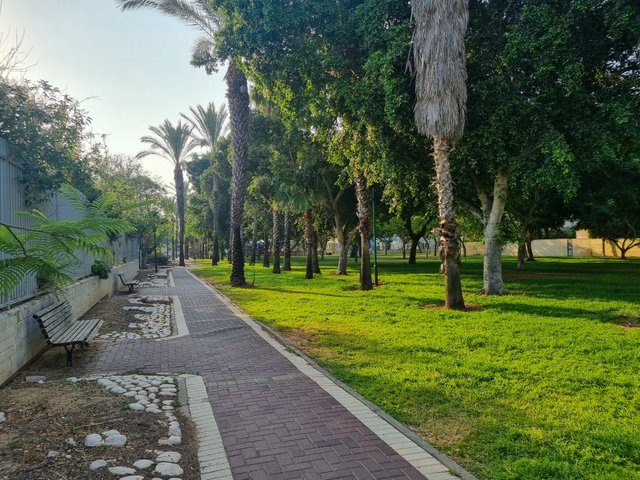20250611_070839.jpg