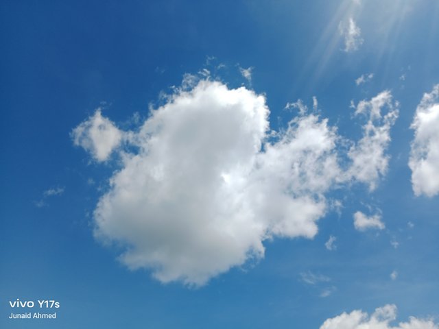1000378217.jpg