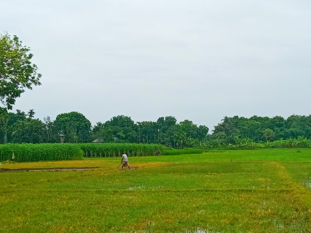 IMG_20250810_100734.jpg