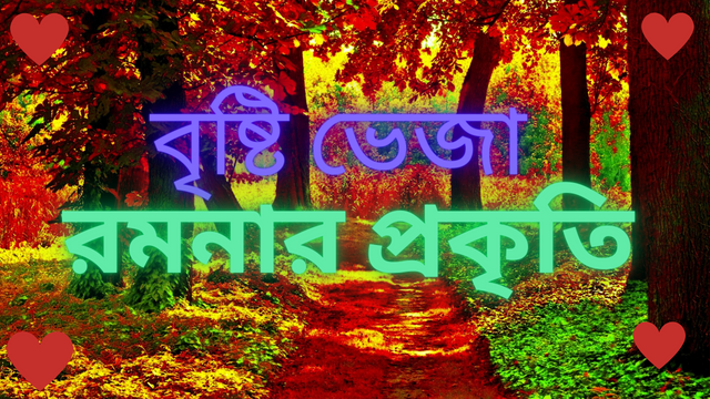 বৃষ্টি ভেজা.png