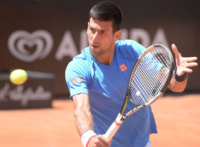 Novak_Djokovic_(18886846361).jpg