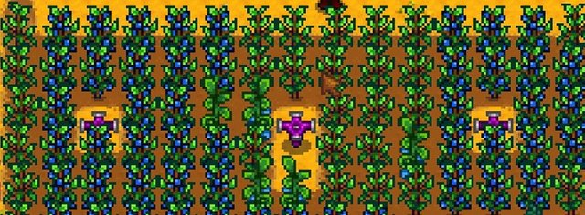 crops.jpg