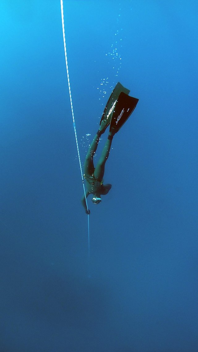 freediving-1383104_1280.jpg