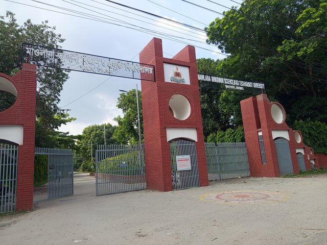 1000010381.jpg