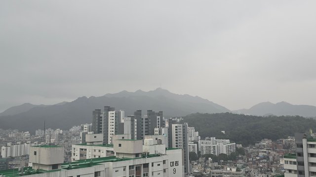 1000141375.jpg