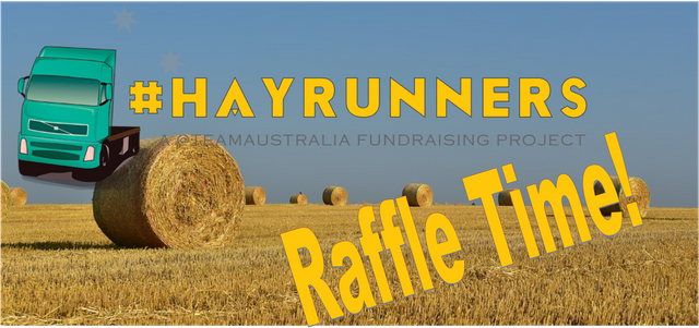 hayrunners raffle.png