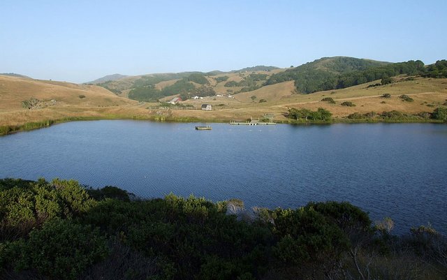 x960-TurtlePond.JPG