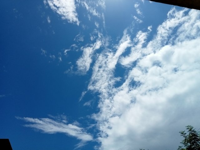 IMG20250814113613.jpg
