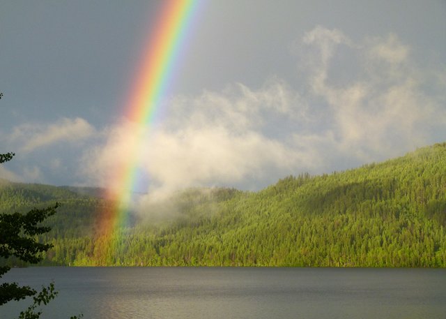 rainbow-183538_1280.jpg