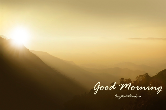 backlit-beautiful-dawn-3168.png