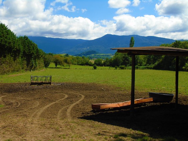 1photofeedlandscape92 (3).JPG