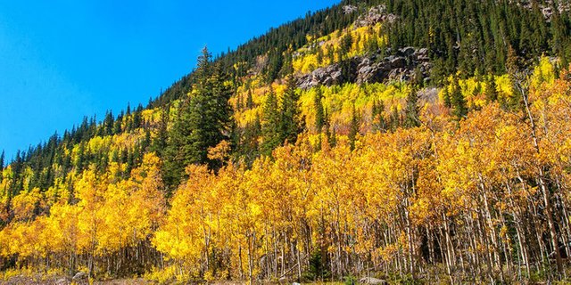 Guanella-Pass-Fall-Colors-1000x500-1536306197_1536312480_680x0.jpg