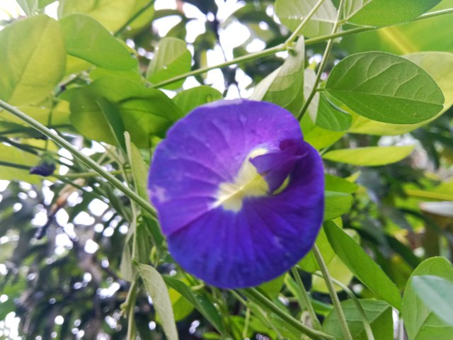 IMG_20251005_193031.jpg
