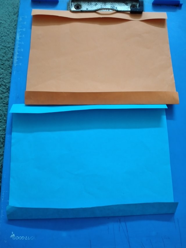 20250424_070105.jpg