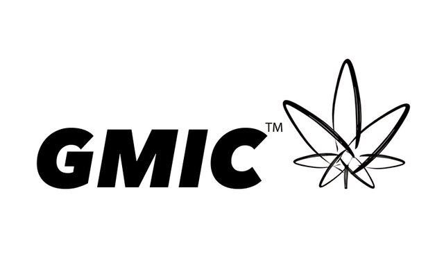 GMIC-Logo.jpg