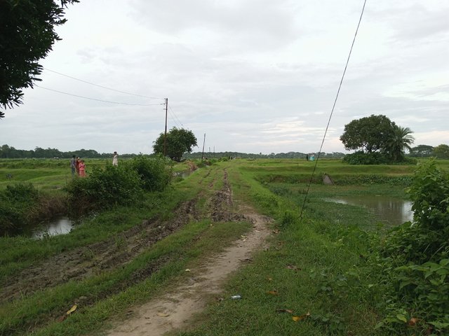 IMG_20250829_174625_348.jpg