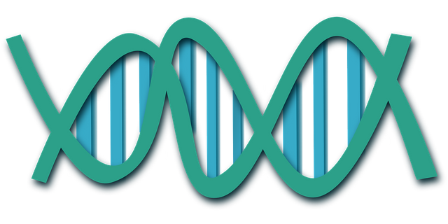 dna-308919_1280.png